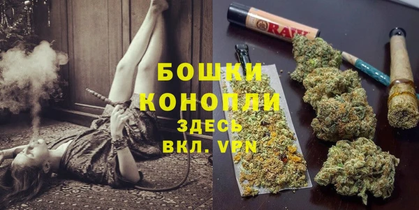 не бодяженный Дмитриев